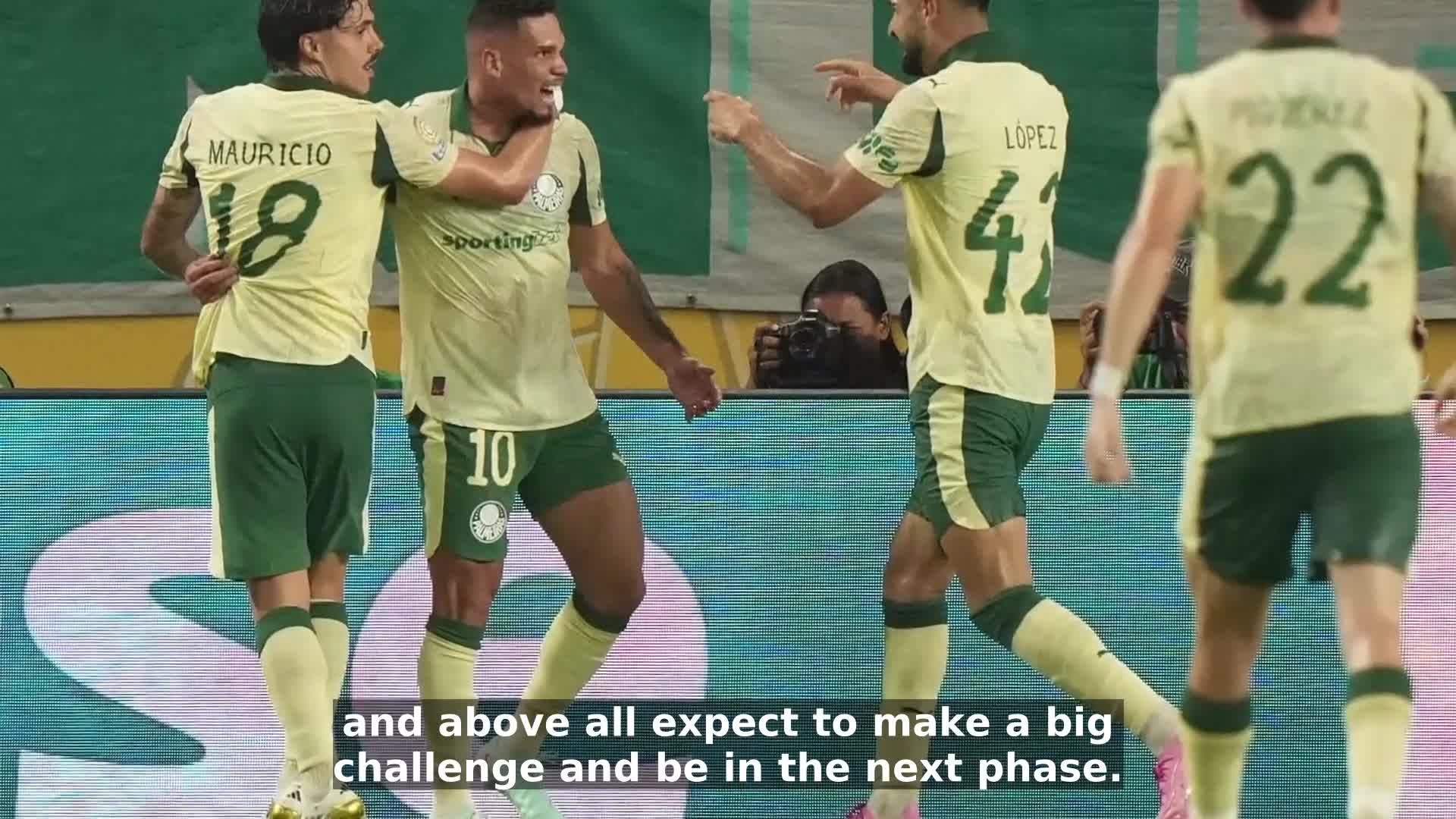 it-is-our-dream-palmeiras-boss-ferreira-ahead-of-all-brazilian-clash-with-botafogo