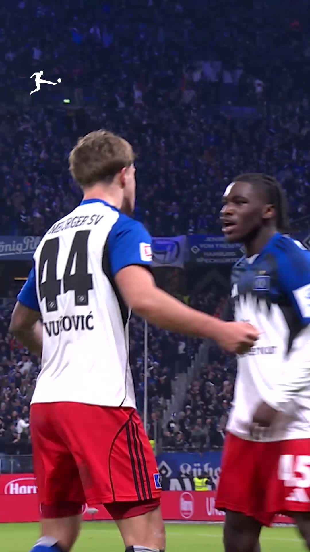 hamburger-sv-celebration-madness