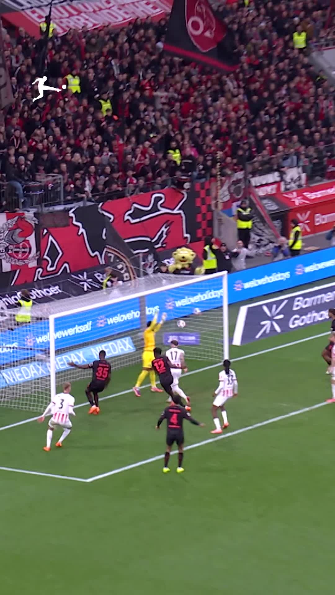 2526-edc-winter-campaign-social-media-video-content-en-9-16-grimaldo-highlights