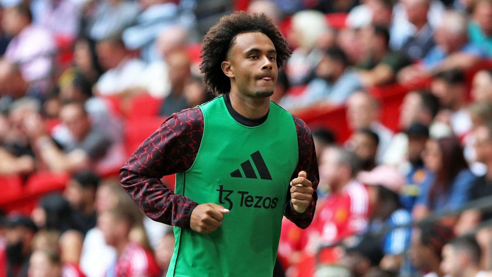 Napoli planning January raid for Man Utd's Joshua Zirkzee
