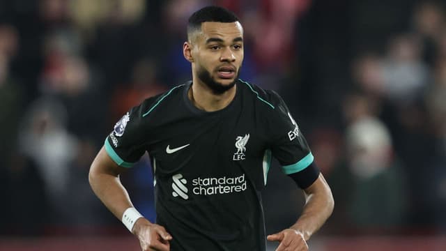 cody-gakpo-returns-to-liverpool-after-netherlands-ankle-injury-1