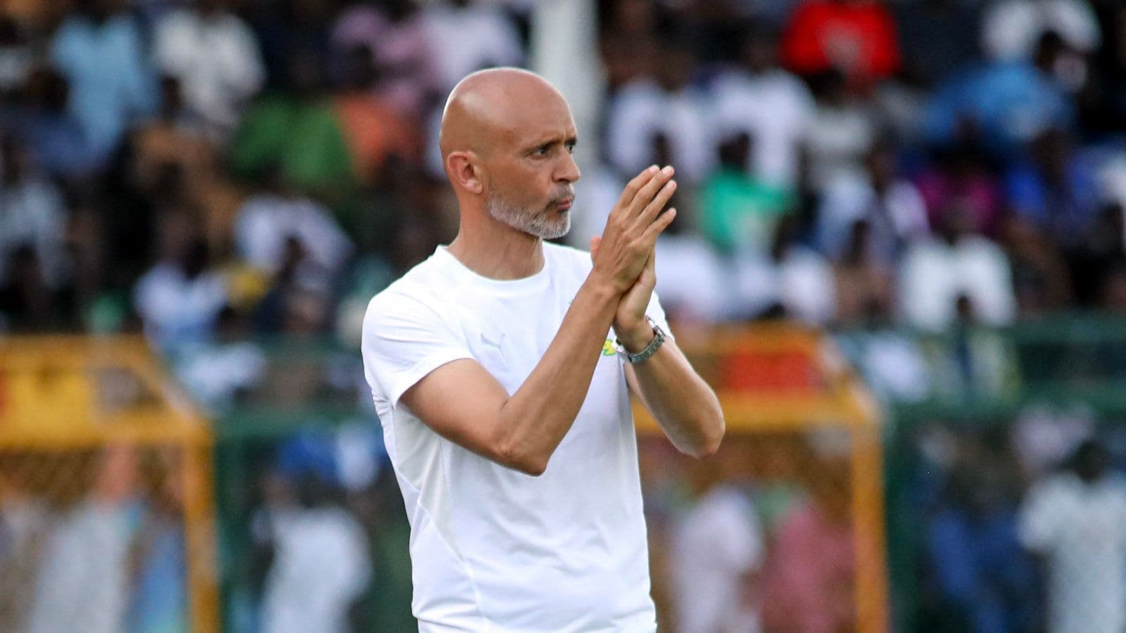 Miguel Cardoso delight as Sundowns cruise past Remo Stars in CAF Champions League