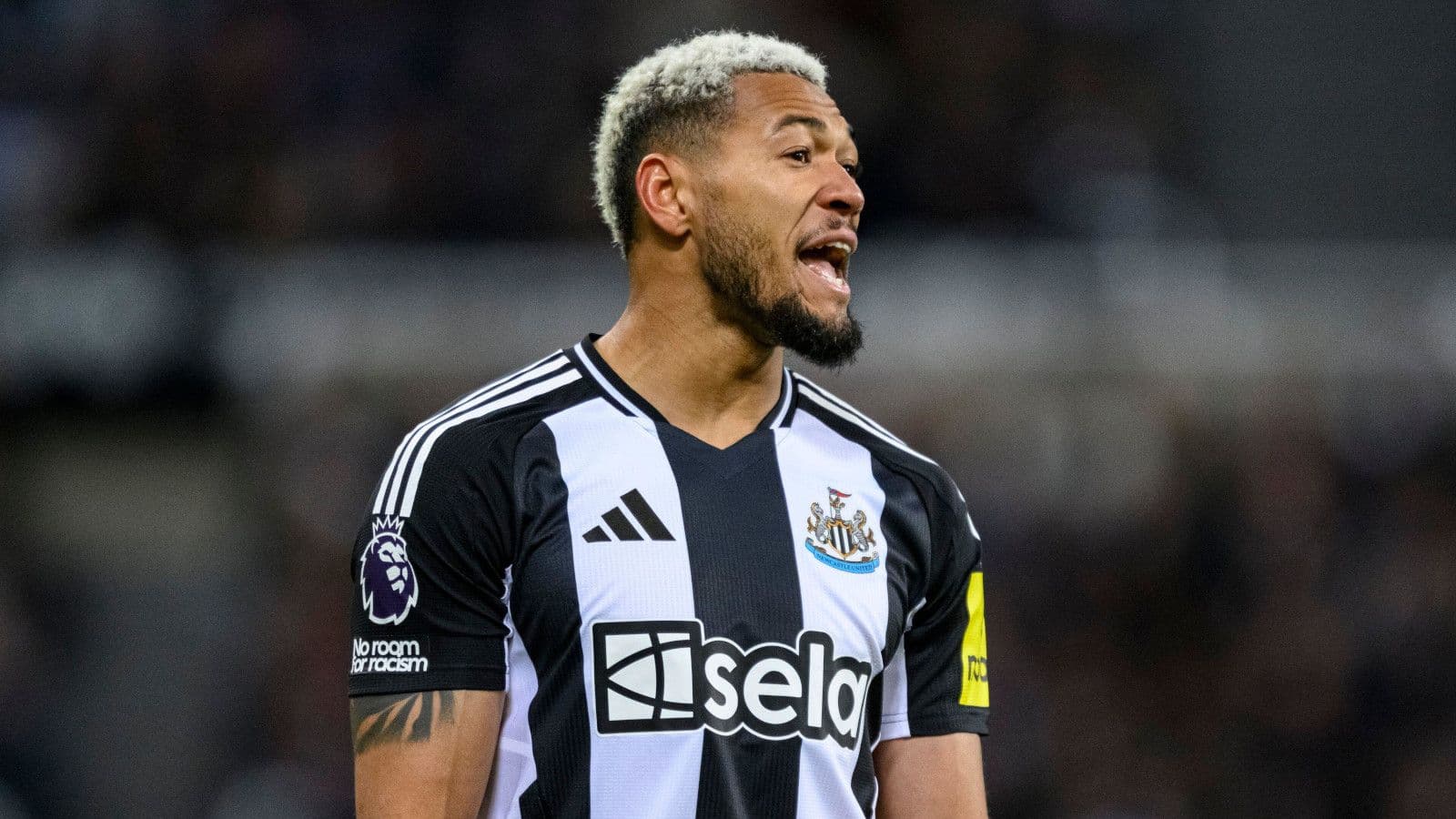 'We are happy to have him back' - Newcastle get Joelinton boost ahead of Coventry trip