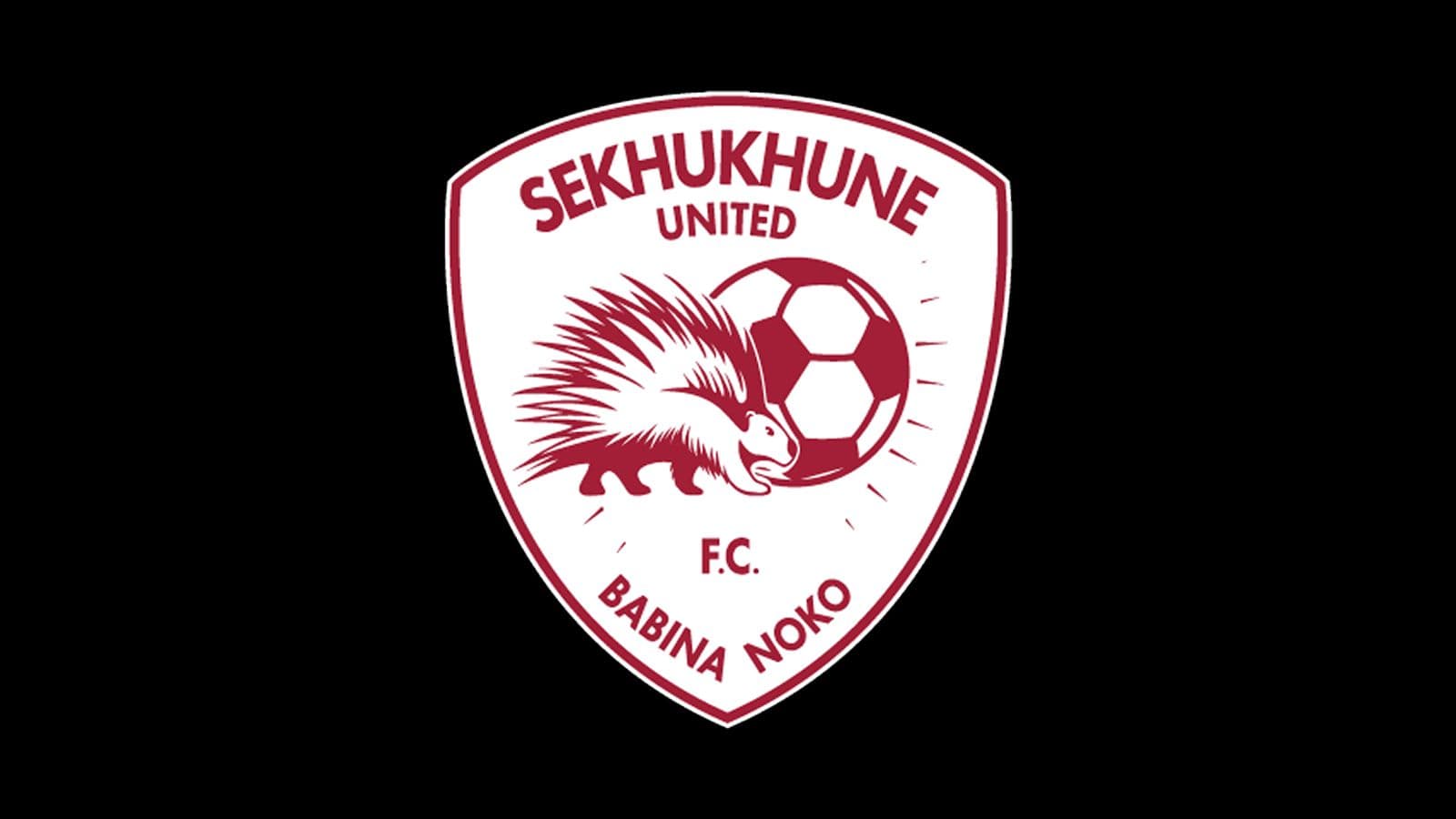Sekhukhune United's Eric Tinkler claims PSL Coach of the Month award