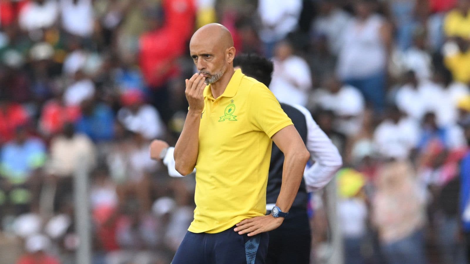 "We only have ourselves to blame." Sundowns coach Miguel Cardoso reflects on Nedbank Cup exit
