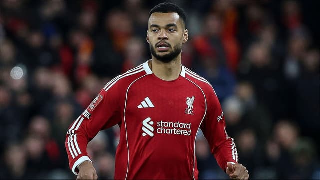 cody-gakpo-eyes-50-goal-mark-as-liverpool-target-strong-finish-2