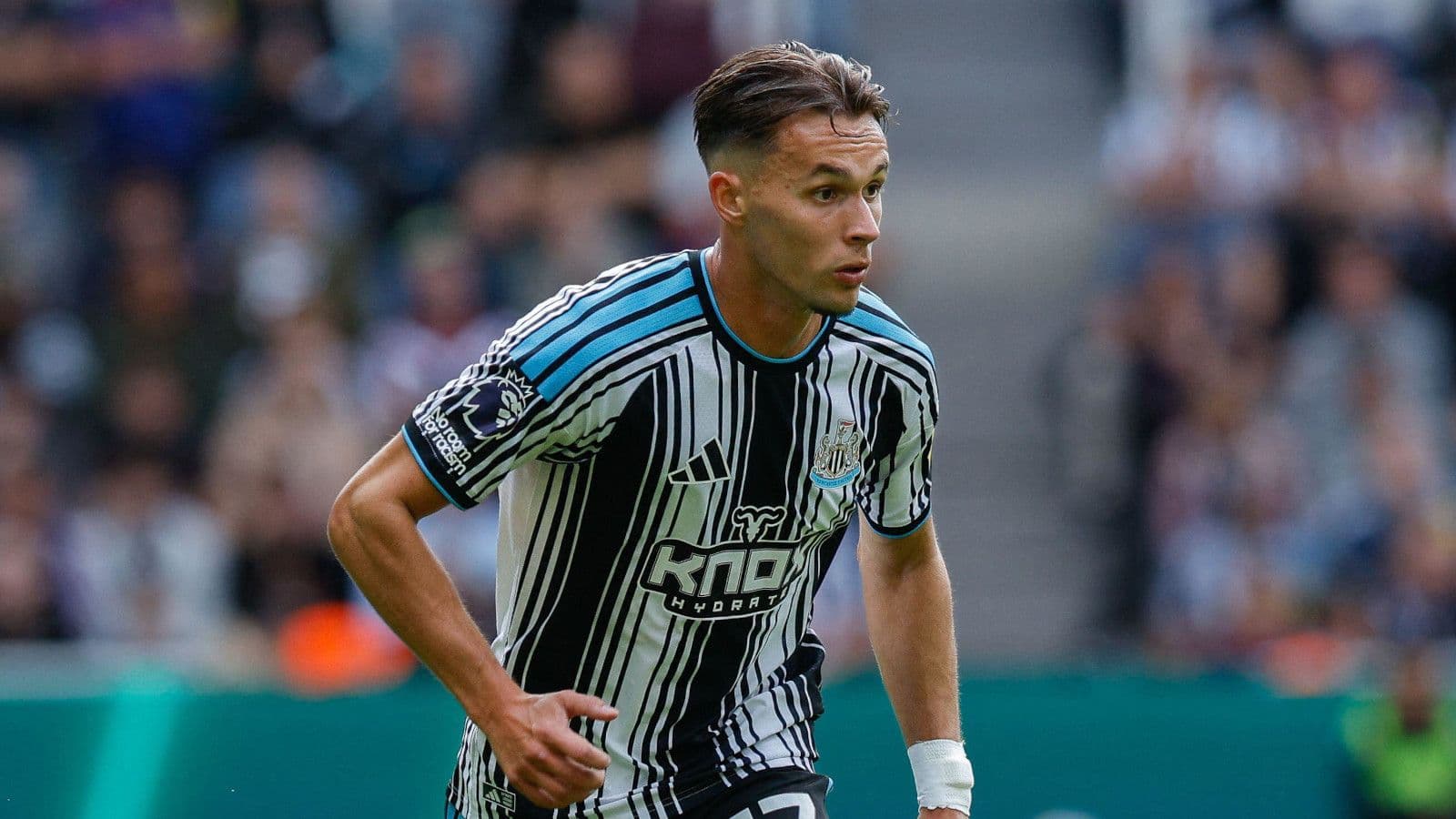 Newcastle sweat on Amar Dedic fitness ahead of Leeds visit